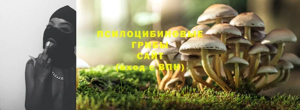 соль курить ск Арсеньев
