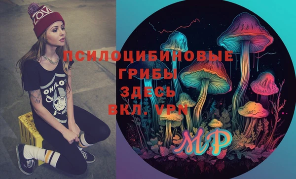 винт Аркадак