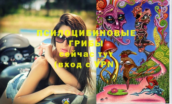 соль курить ск Арсеньев