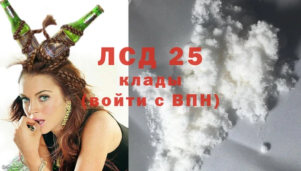 винт Аркадак